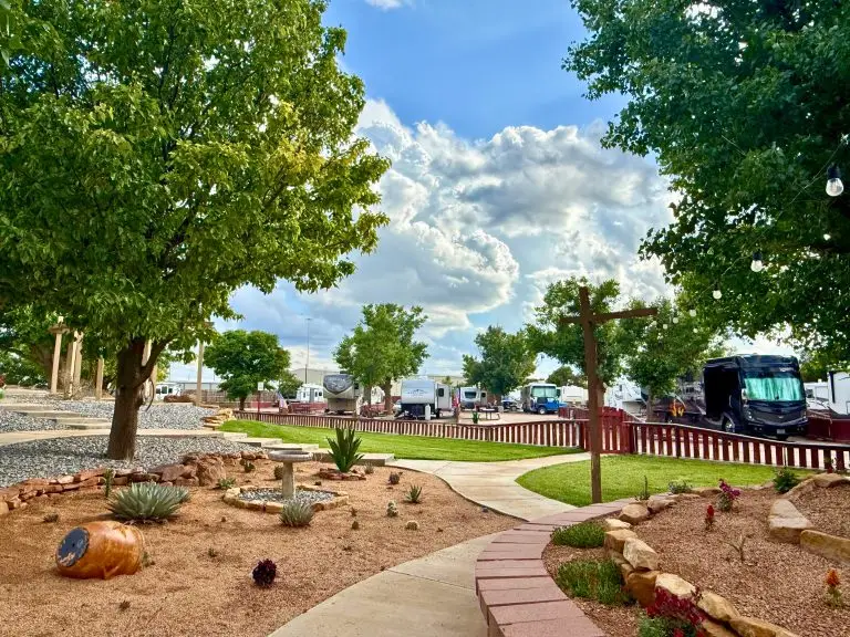 Fort Path Cactus 2025