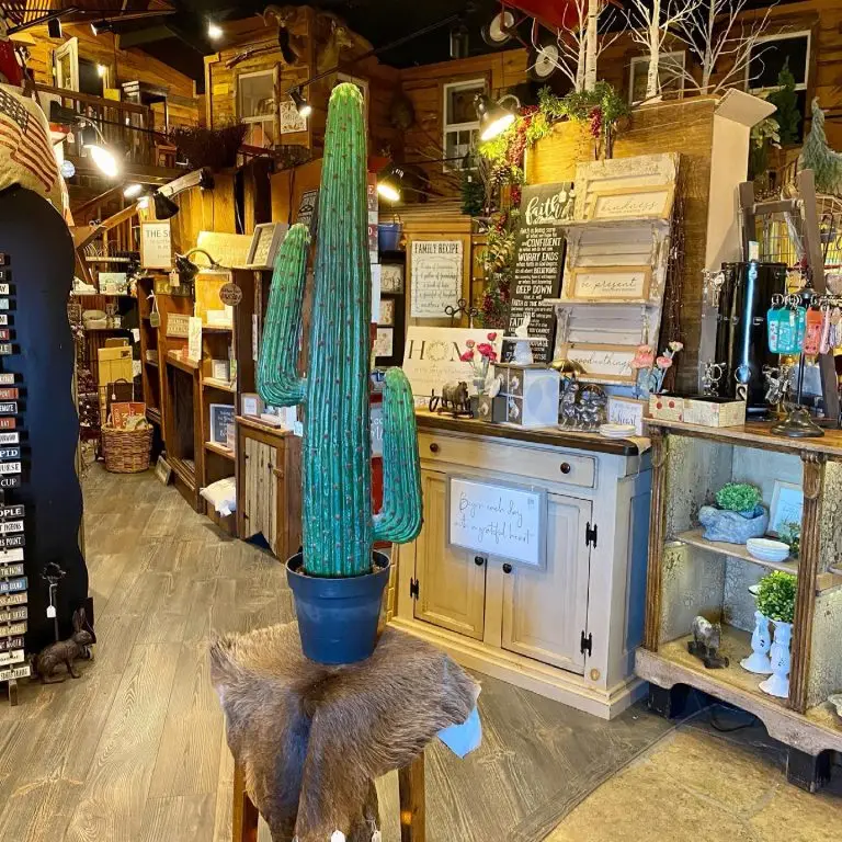 168786890_4284270911584156_7102724822514160805_n