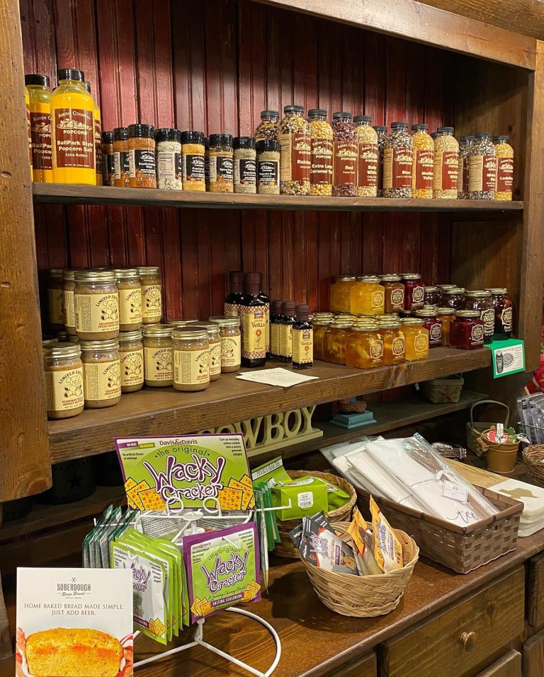 314936569_561106612684960_7274072479426702600_n