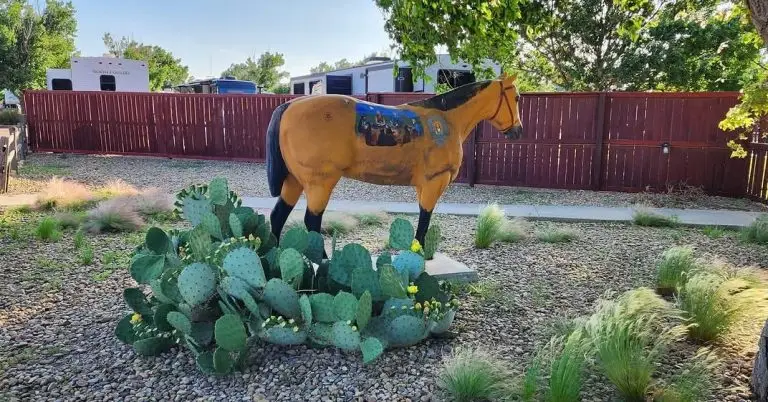 485308224_18380522200187598_395459731065394395_n