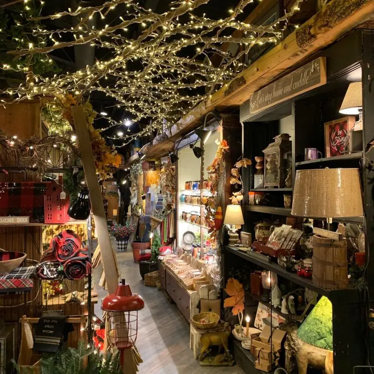 95097276_3313491098662147_5983220482227306496_n